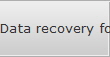 Data recovery for WDC data